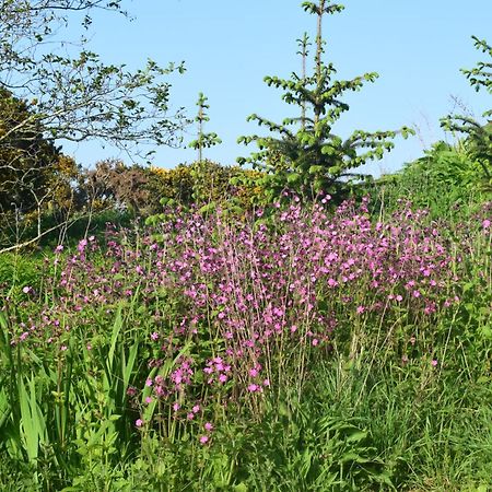 Shepherd'S Loch Glamping Turriff Esterno foto