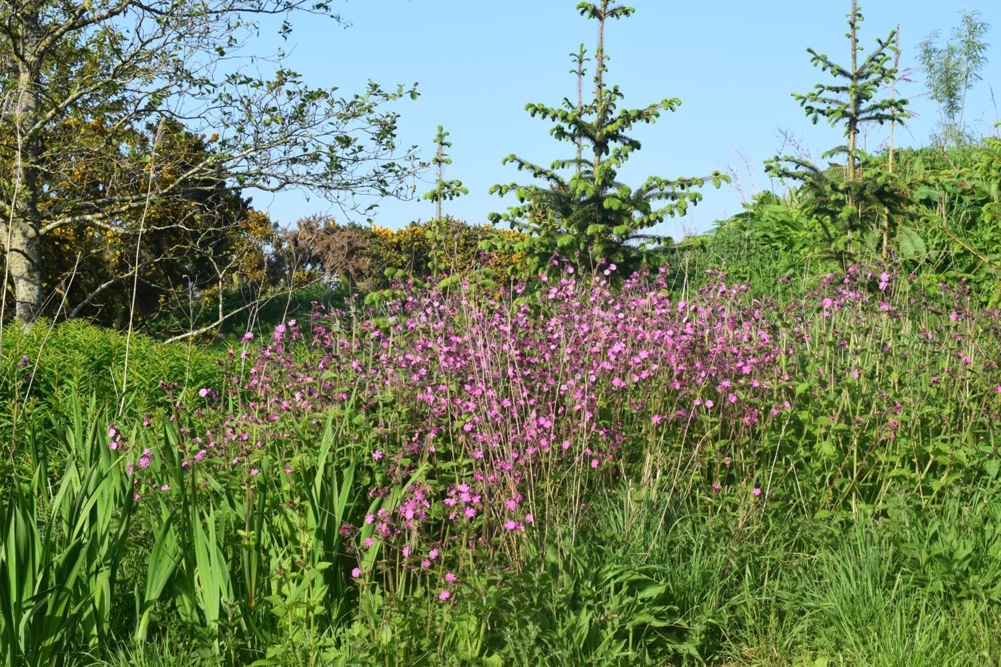 Shepherd'S Loch Glamping Turriff Esterno foto